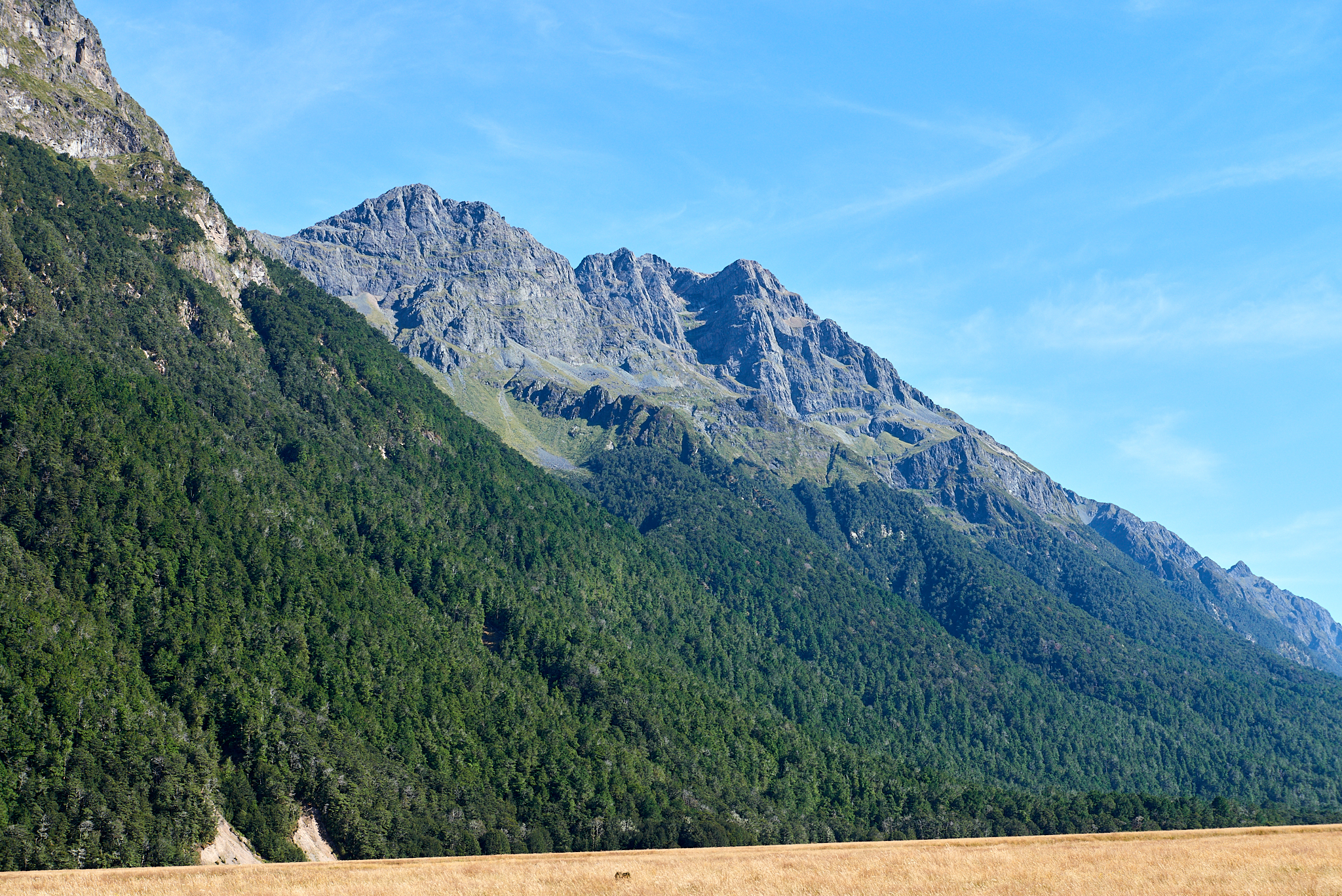 20180127 024 뉴질랜드 에그린턴 협곡 나니아연대기 촬영지